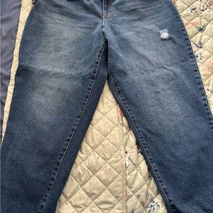 Knox Rose size 16 Demin